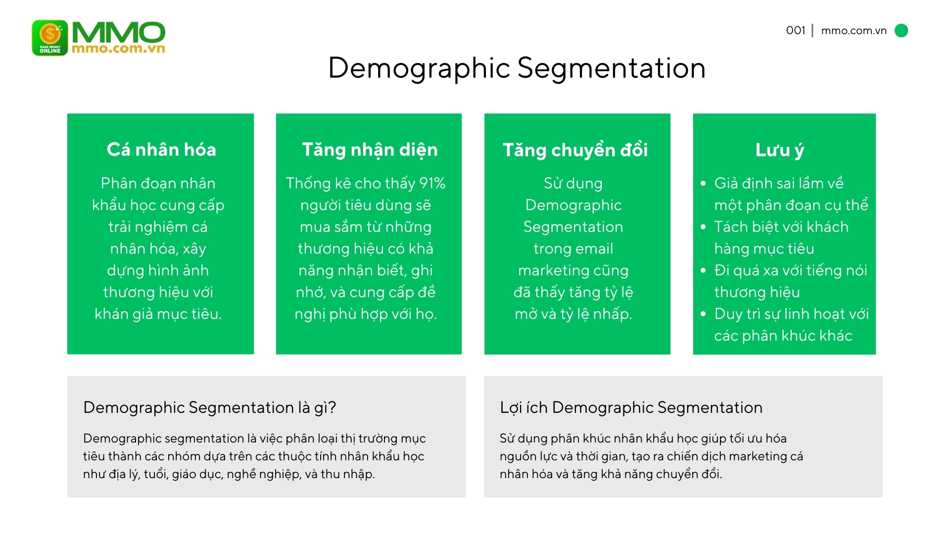 Demographic Segmentation là gì