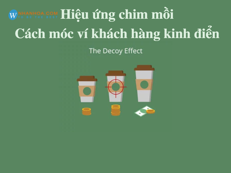 Hiệu ứng chim mồi và nghệ thuật móc ví trong Marketing